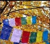 Prayer Flags Flying in the Wind
