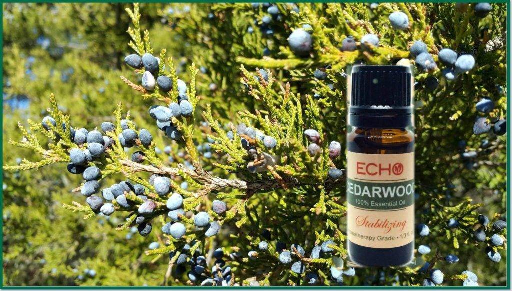 Echo Cedarwood Essential Oil at Mountain Valley Center
