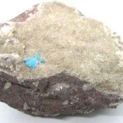 Cavansite Crystal - CVN 2