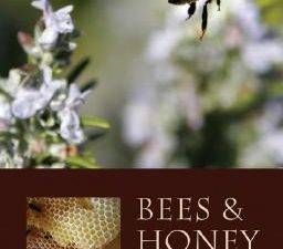 bees to honey book