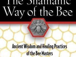 Shamanic way of the bee book