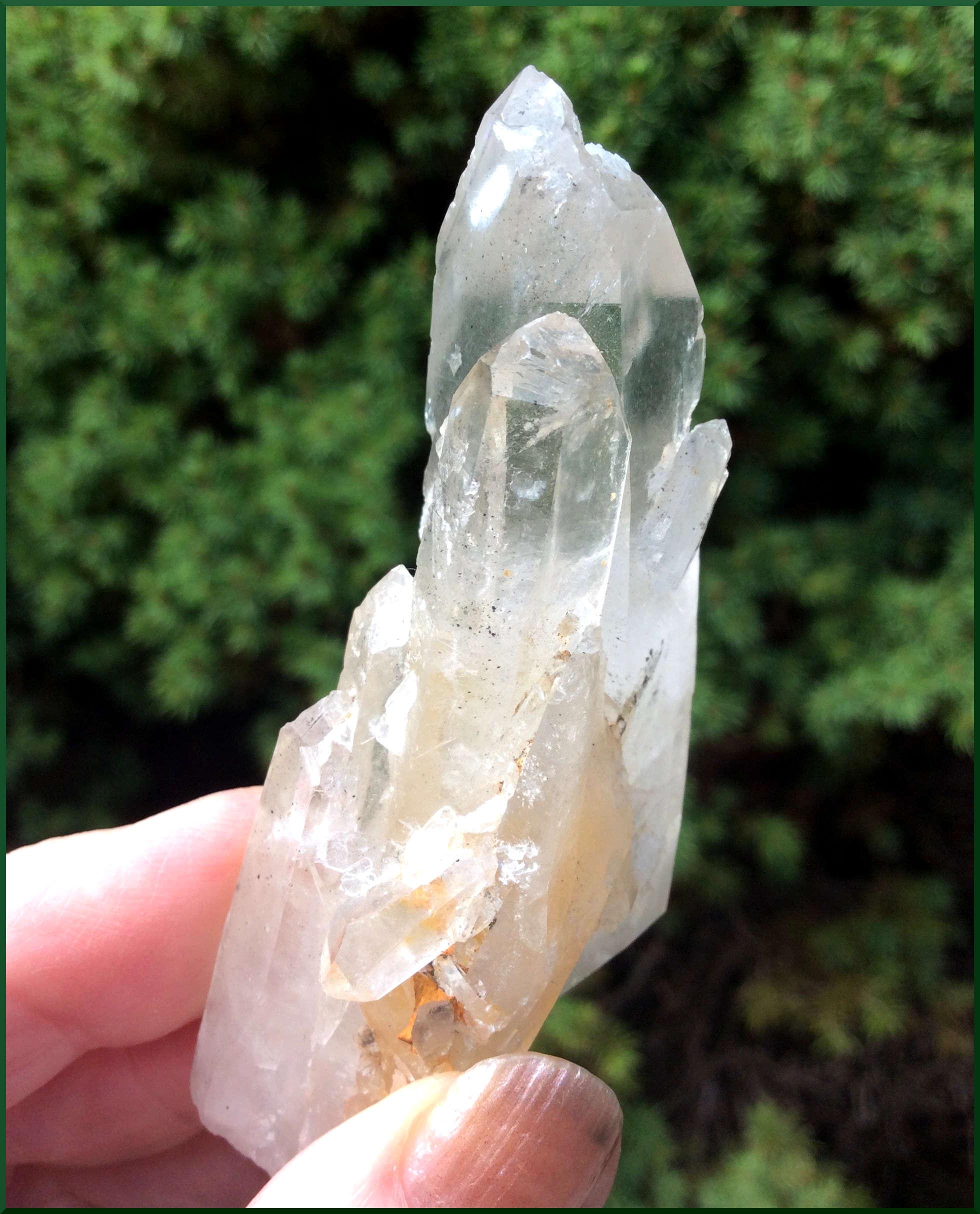 Lemurian Crystal with Dolphins