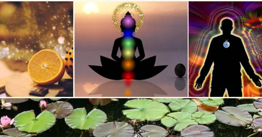 Water Gifts- chakra lotus and lily pond at at Mountain Valley Center Spiritual Shop Metaphysical Store Labyrinth Park Otto, NC